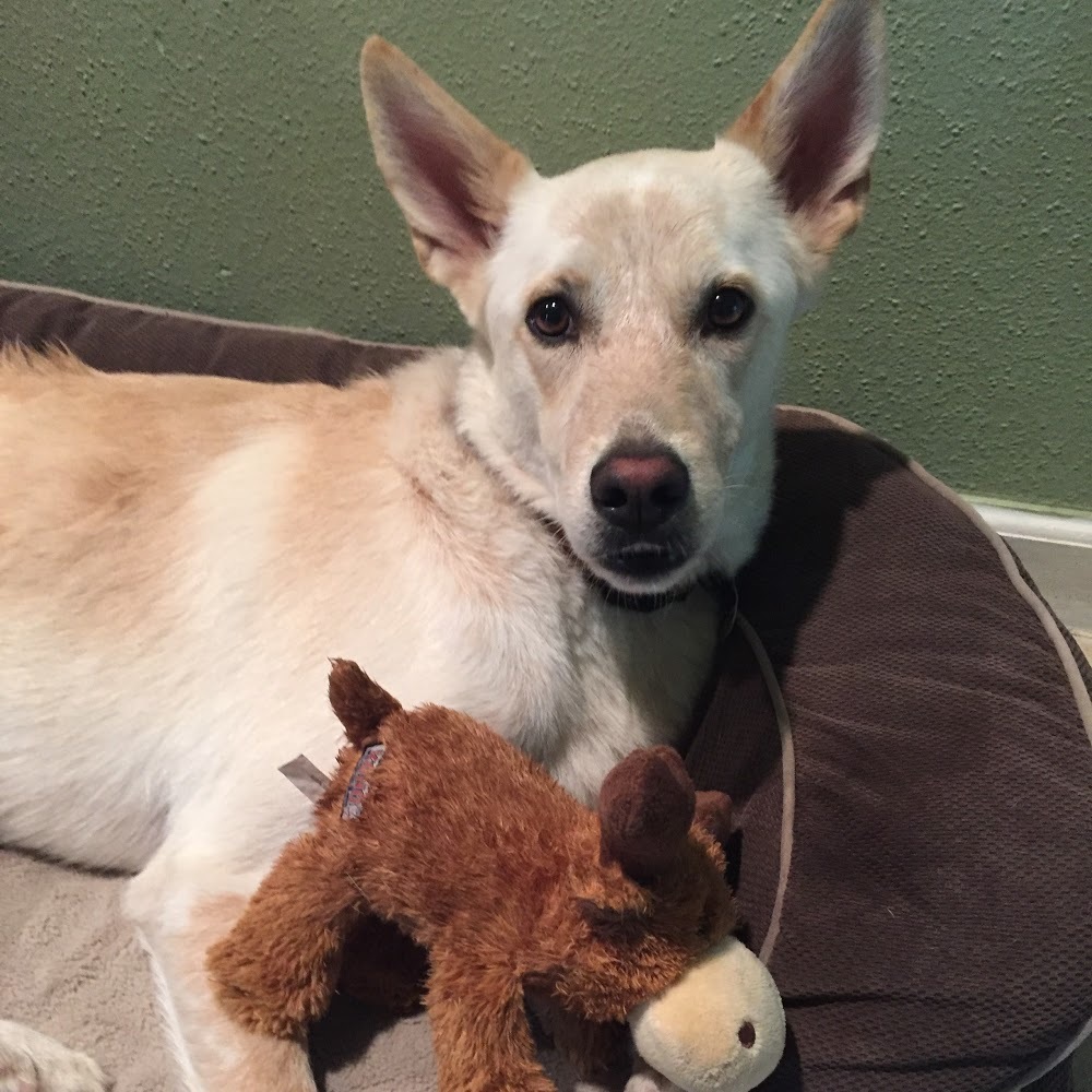 Meet your Posher, Manuel